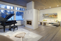 Aspen Overlook Drive Contemporary